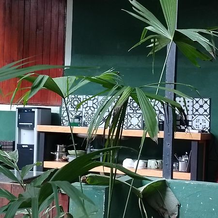 Hotel Boutique The Green Jungle House Puerto Viejo de Talamanca Экстерьер фото