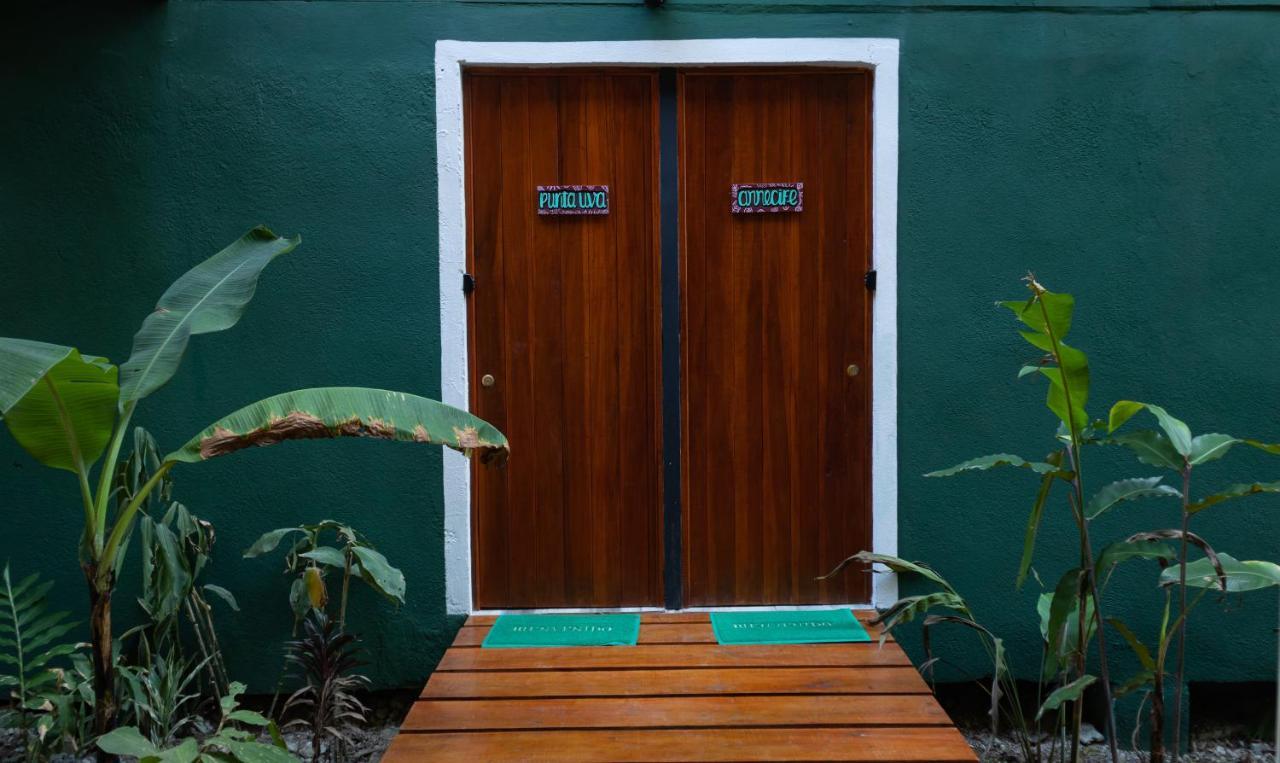 Hotel Boutique The Green Jungle House Puerto Viejo de Talamanca Экстерьер фото
