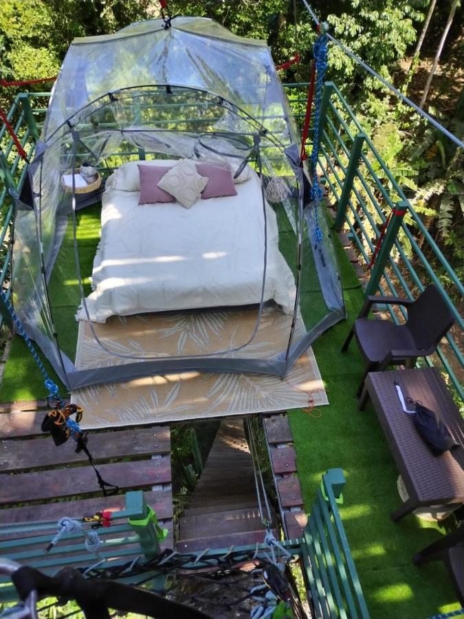 Hotel Boutique The Green Jungle House Puerto Viejo de Talamanca Экстерьер фото