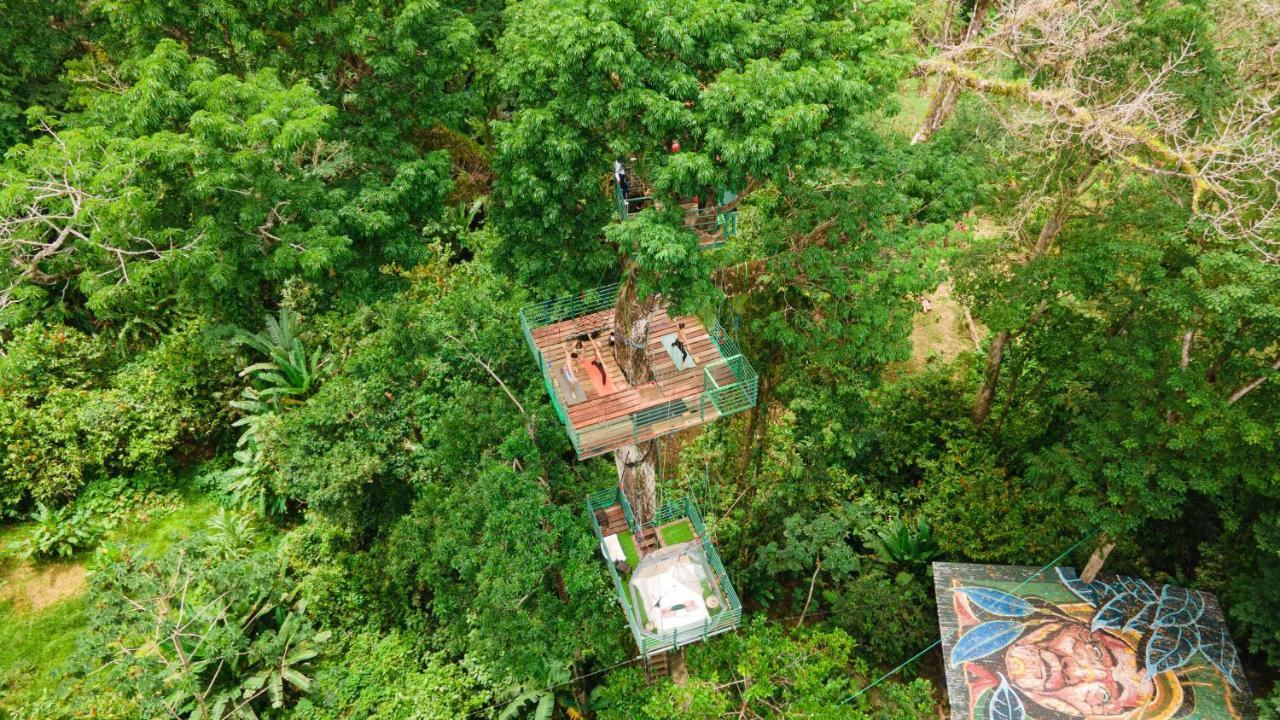 Hotel Boutique The Green Jungle House Puerto Viejo de Talamanca Экстерьер фото
