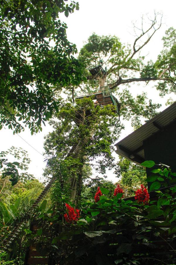 Hotel Boutique The Green Jungle House Puerto Viejo de Talamanca Экстерьер фото