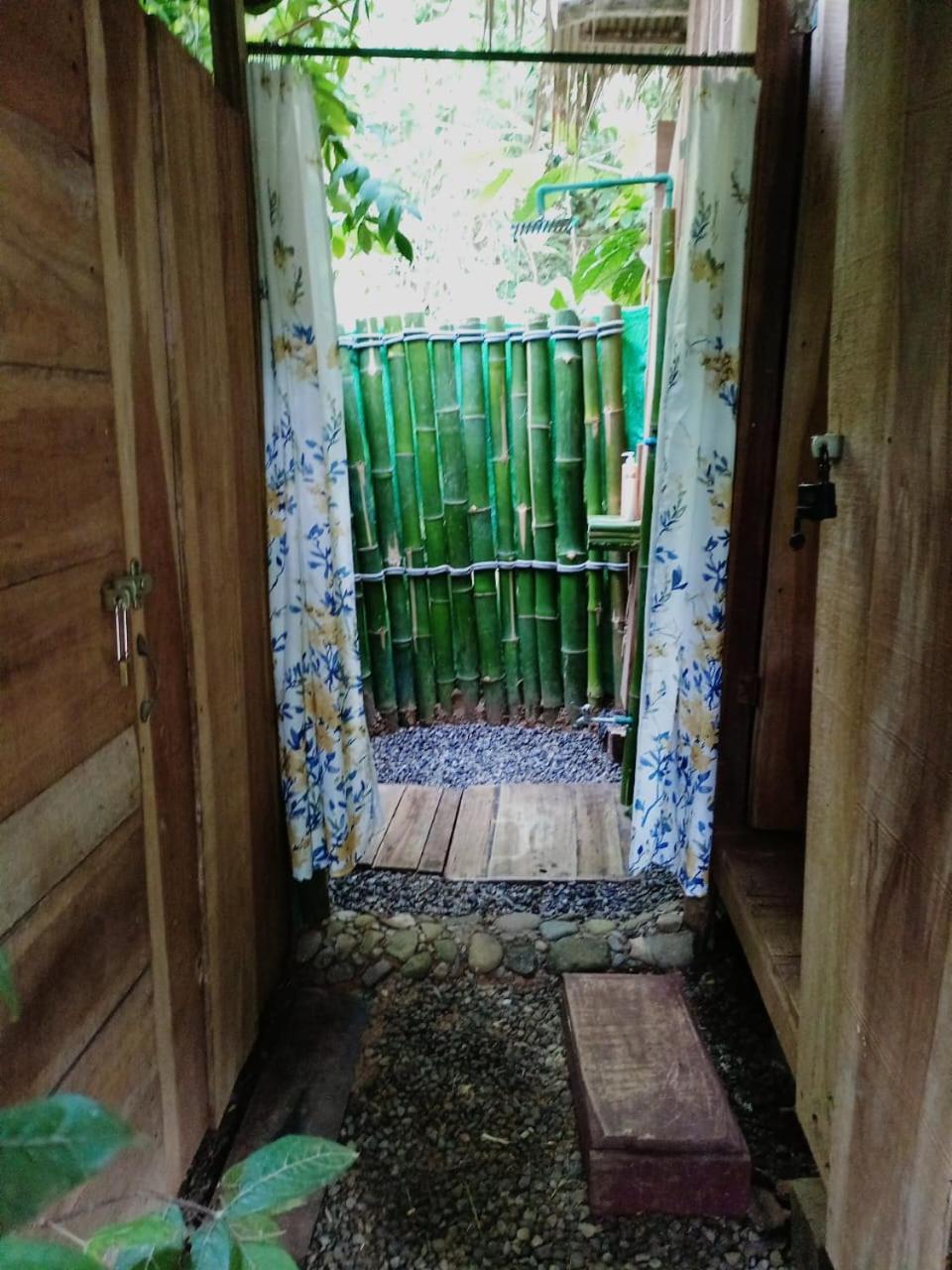 Hotel Boutique The Green Jungle House Puerto Viejo de Talamanca Экстерьер фото